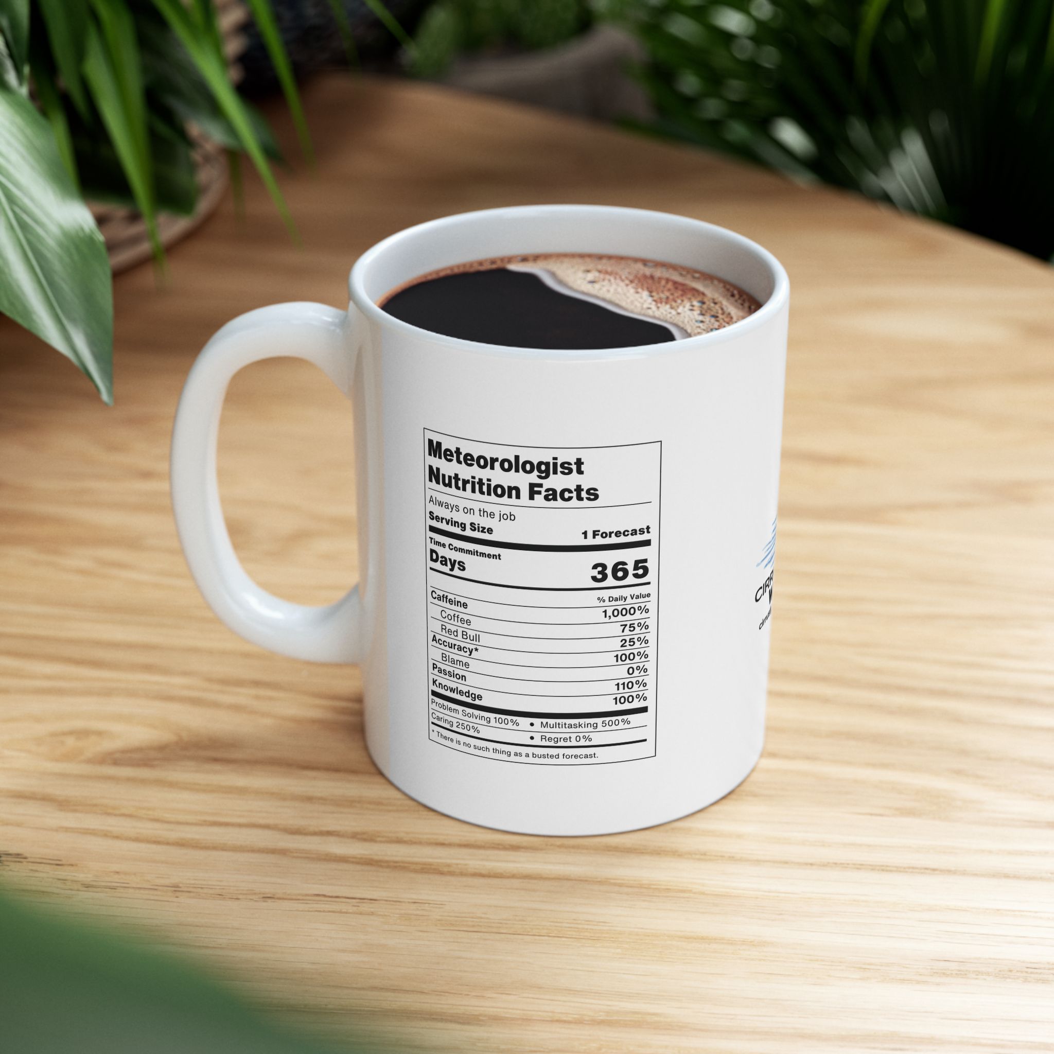 Meteorologist Nutrition Facts Mug - Ceramic, White