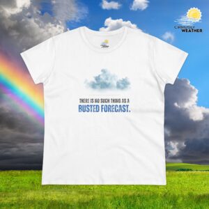 There's No Such Thing As a Busted Forecast Women's T-Shirt (Midweight Cotton)