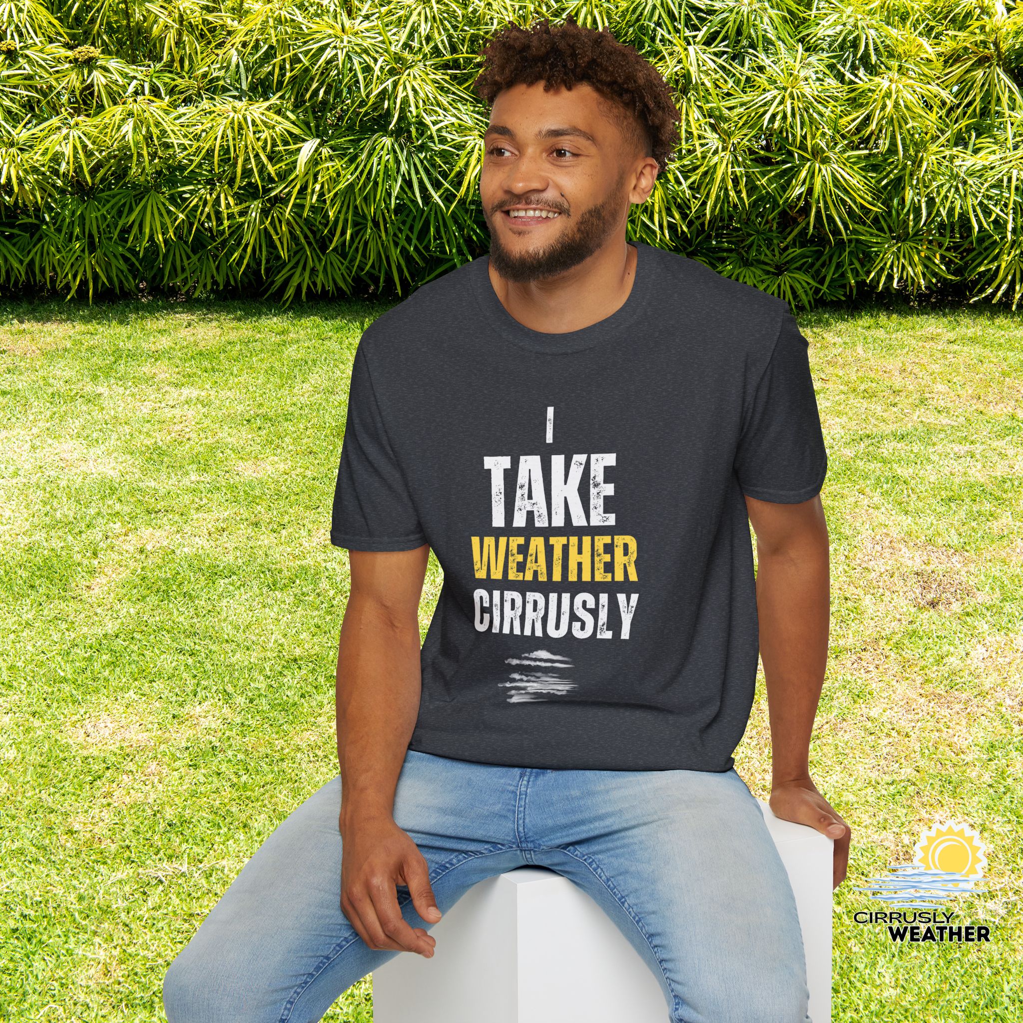 I Take Weather Cirrusly Unisex T-Shirt (Softstyle), Heather Grey