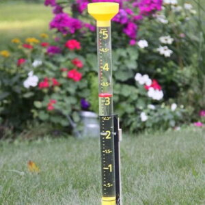 Taylor 5 Inch Capacity Jumbo Rain Gauge