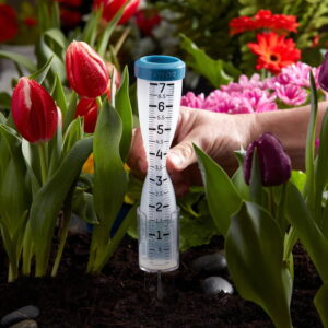 Taylor 7-Inch Capacity Silicone Rain Gauge - Image 2