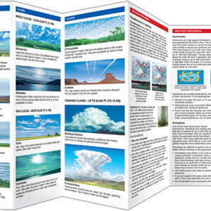 Waterford Pocket Naturalist Guide to Weather - Image 2