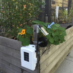 Davis Leaf Wetness Sensor