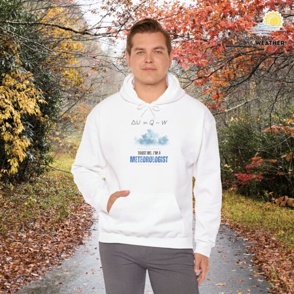 Trust Me I'm a Meteorologist Unisex Hoodie - Image 1