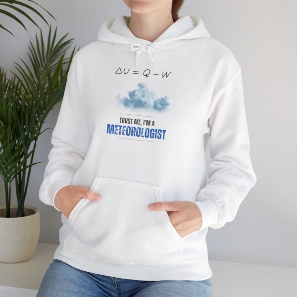 Trust Me I'm a Meteorologist Unisex Hoodie - Image 2