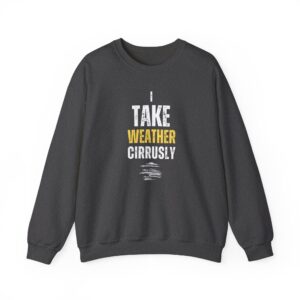 I Take Weather Cirrusly Sweatshirt - Image 5
