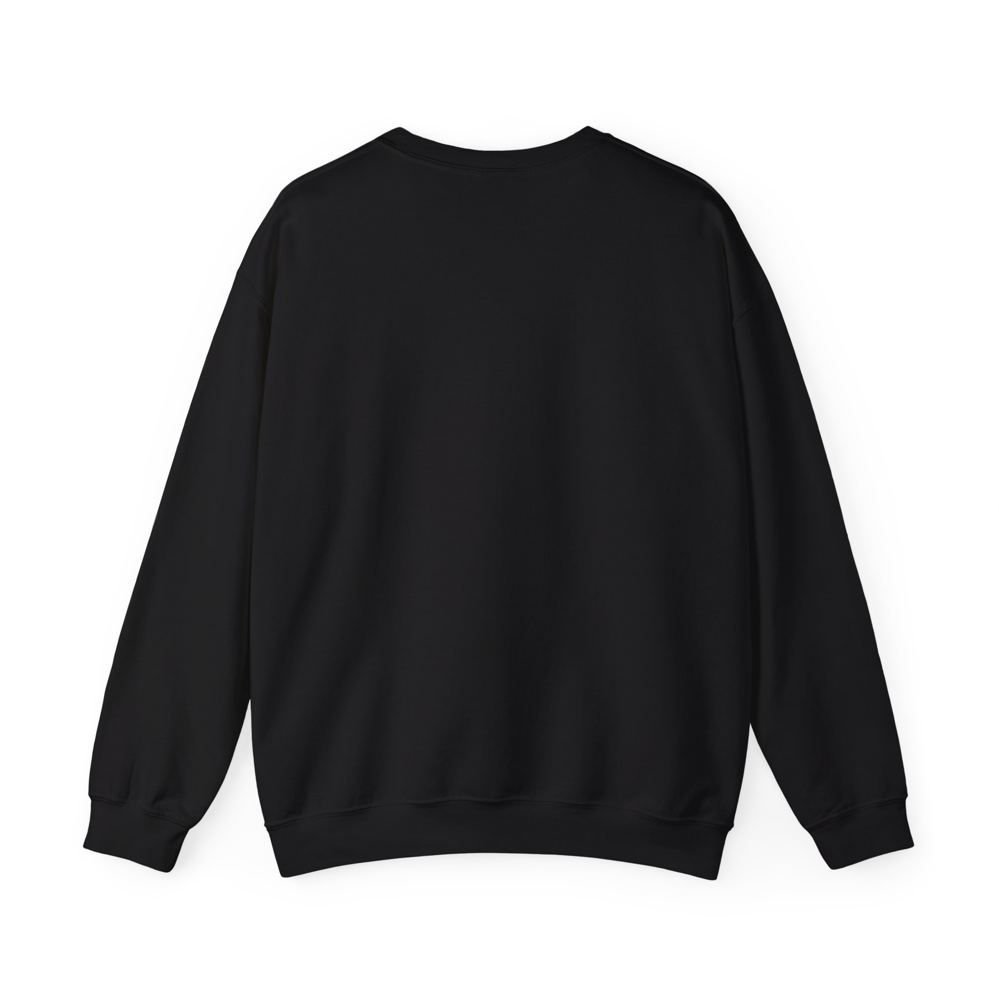 I Take Weather Cirrusly Sweatshirt - Image 3