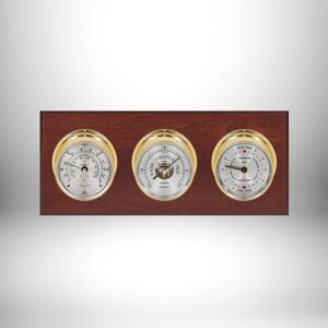 Maximum Newport Weather Station (Analog)