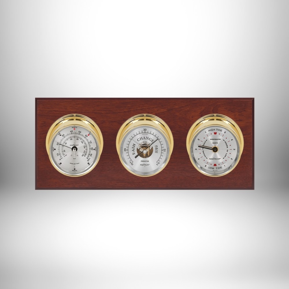 Maximum Newport Weather Station (Analog)