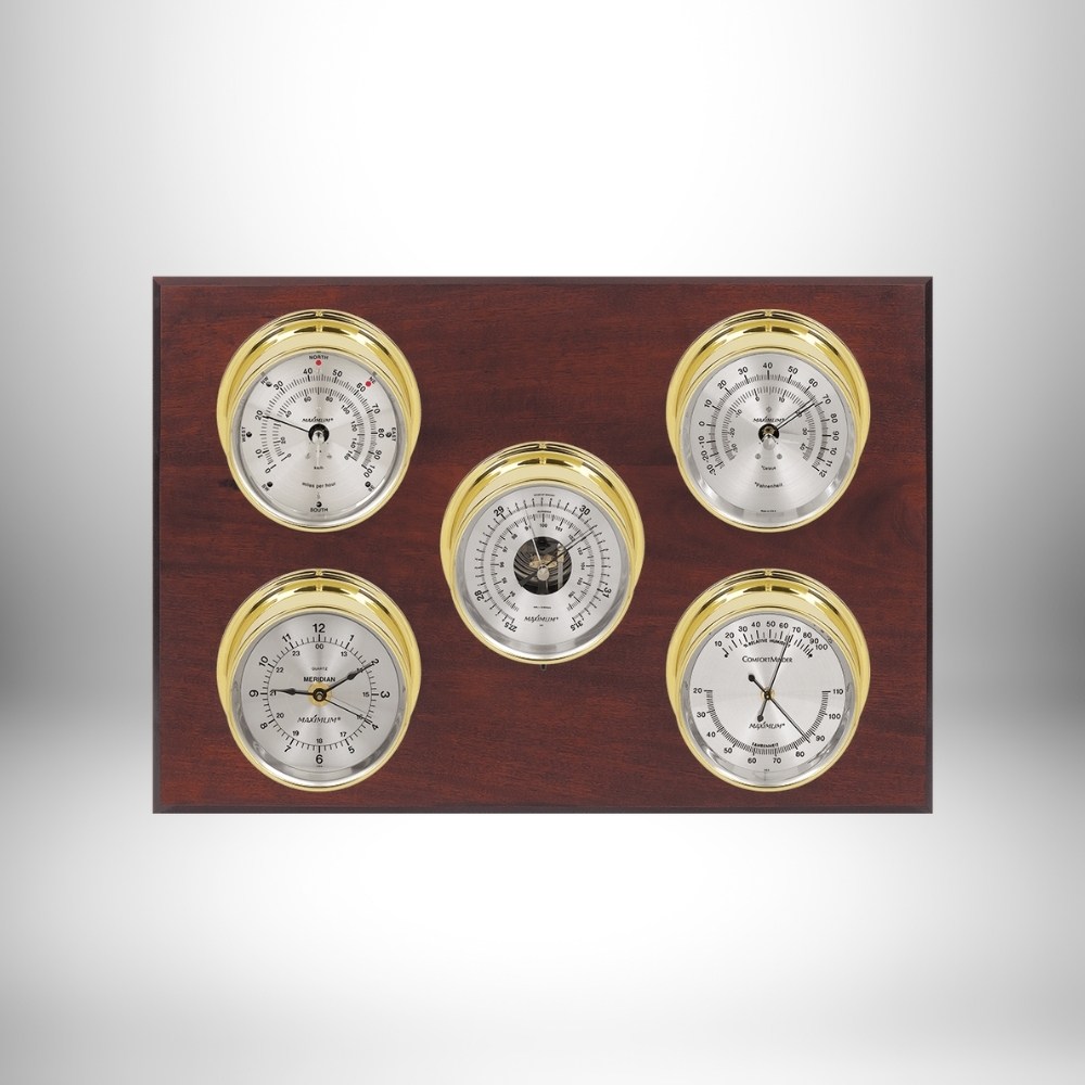 Maximum Professional Weather Station (Analog)