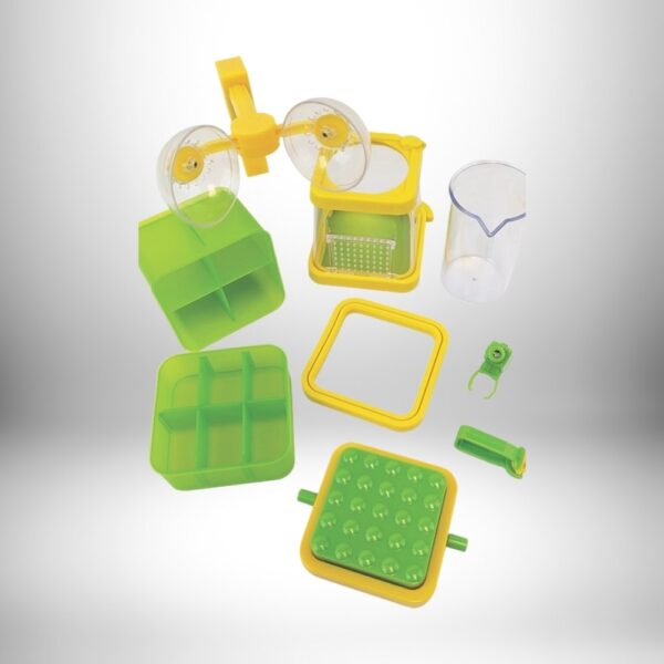 Outdoor Science Lab: Bugs & Plants & Dirt - Image 2